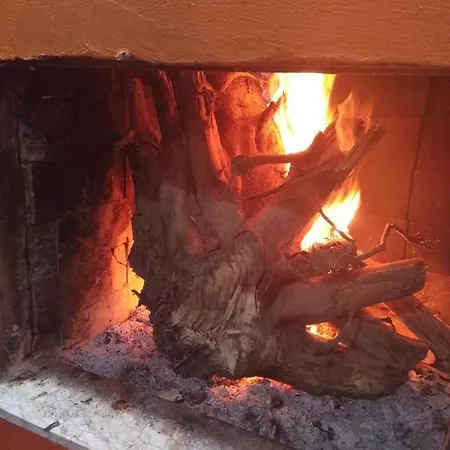 Portakal *